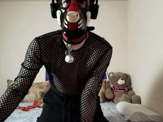 k9-goodboy webcam camsoda model stream image