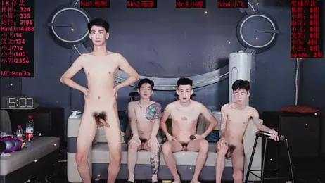 SX-001 webcam model stream image
