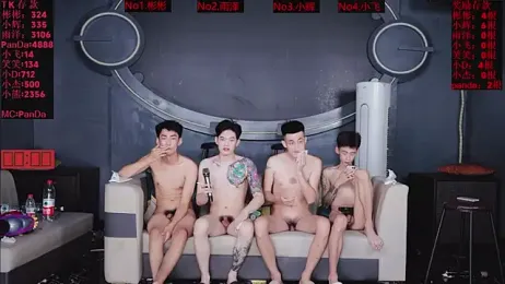 SX-001 webcam model stream image