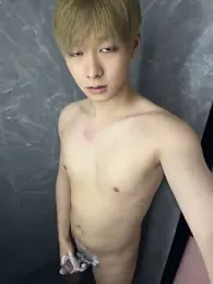 Vi_1314 webcam model stream image