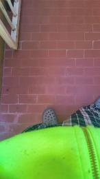 Swuosh webcam model stream image