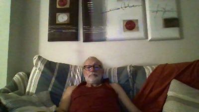 Leafars webcam model stream image
