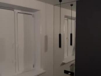 aronyou_win webcam preview