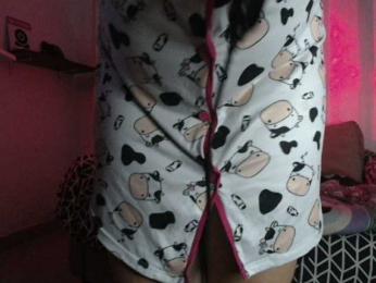MiaSP webcam model stream image