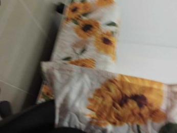 Madisonn1 webcam model stream image