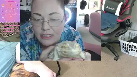 fatfabulous1981 webcam model stream image