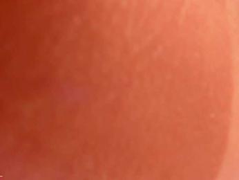 lymor webcam model stream image