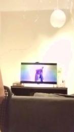 steff206 webcam model stream image