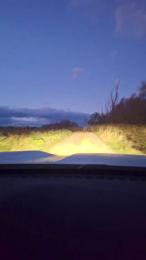 Gerontofilia webcam model stream image