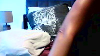 Vinie31 webcam model stream image