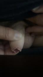 Pollita59 webcam model stream image
