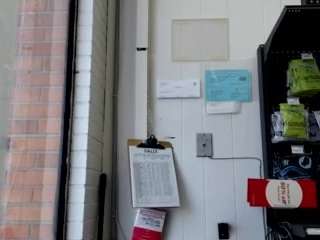 lushdiamondz webcam model stream image