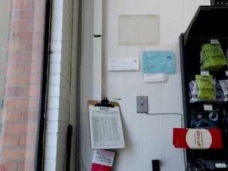 lushdiamondz webcam model stream image