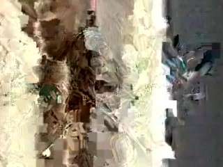 lushdiamondz webcam model stream image