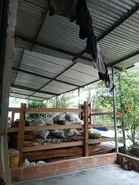 Abel-09x webcam model stream image