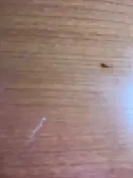 ivannapretyts webcam stripchat model stream image