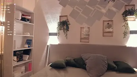 EvaSolisv webcam model stream image