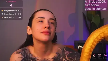 EvaCanton webcam model stream image