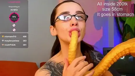 EvaCanton webcam model stream image