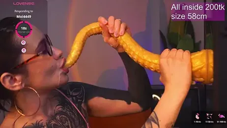 EvaCanton webcam model stream image