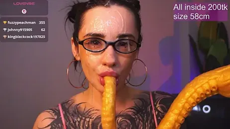 EvaCanton webcam model stream image