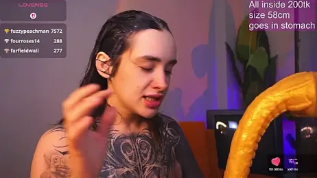 EvaCanton webcam model stream image