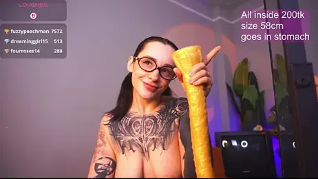 EvaCanton webcam model stream image