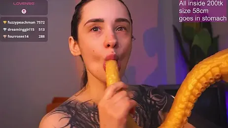 EvaCanton webcam model stream image