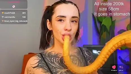 EvaCanton webcam model stream image