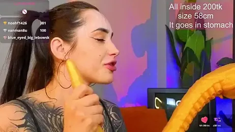 EvaCanton webcam model stream image