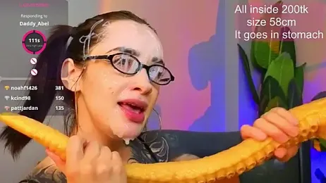 EvaCanton webcam model stream image