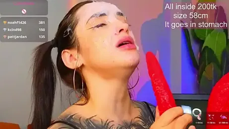 EvaCanton webcam model stream image