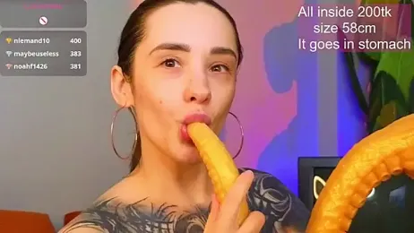 EvaCanton webcam model stream image