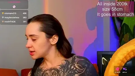 EvaCanton webcam model stream image