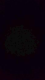 Antena1984 webcam model stream image