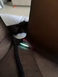 __amcutefatima webcam model stream image