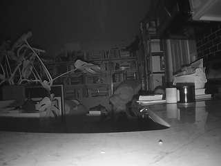 voyeurcam-bridgetleewalters-02 webcam camsoda model stream image