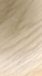 Anonymegirl00 webcam model stream image