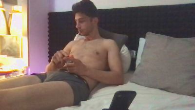 Vitruvio30 webcam model stream image