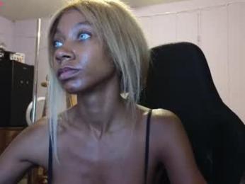 mocha_ webcam model stream image