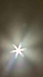 Talegas69 webcam model stream image