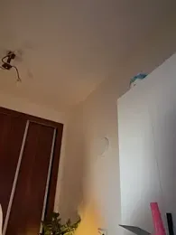 Adriennesexxx webcam model stream image