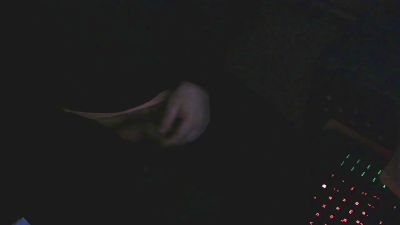 brakko2020 webcam model stream image