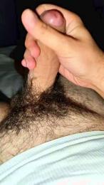 Stan9341 webcam model stream image