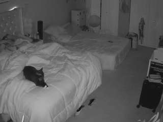 voyeurcam-house-charleys-room webcam model stream image