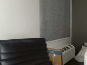 Adelaideskyy webcam model stream image