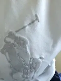 its_coco72 webcam model stream image