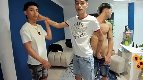 Theguys-passion webcam model stream image