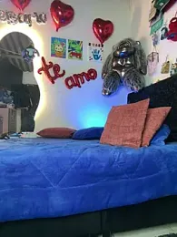 tommyandbryam_bdsm webcam model stream image