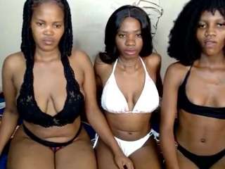 kattiebirdie webcam model stream image